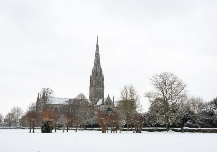 La catedral de Salisbury vista de lejos entre árboles desnudos y nieve.