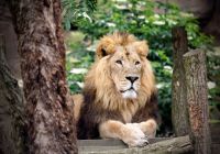 Zoo de Londres