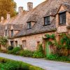 Tour Pueblos de los Cotswolds en español - Bourton, Bibury y Burford