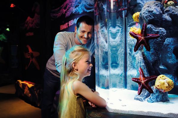 Entrada al Sea Life Aquarium Londres