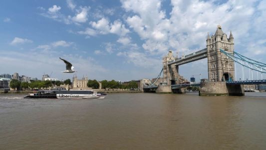 Uber Boat by Thames Clippers