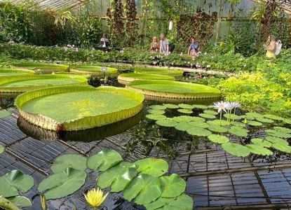 Kew Gardens