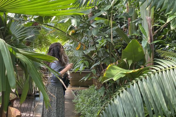 Entradas para Kew Gardens