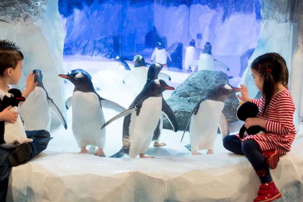 Visitar el acuario de Londres