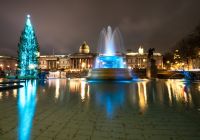 El árbol de Navidad de Trafalgar Square iluminado junto a las fuentes al anochecer.