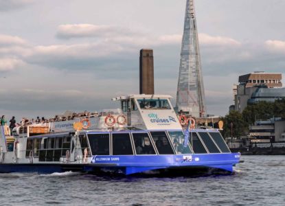 Crucero por el río Támesis en Londres
