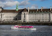 London Eye con crucero