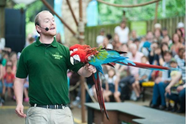 Entradas Zoo Londres