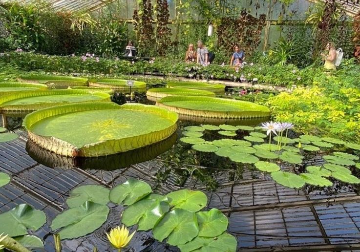 Kew Gardens