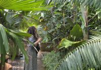 Entradas para Kew Gardens