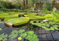 Kew Gardens