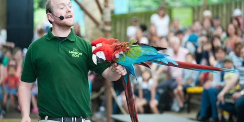 Zoológico de Londres