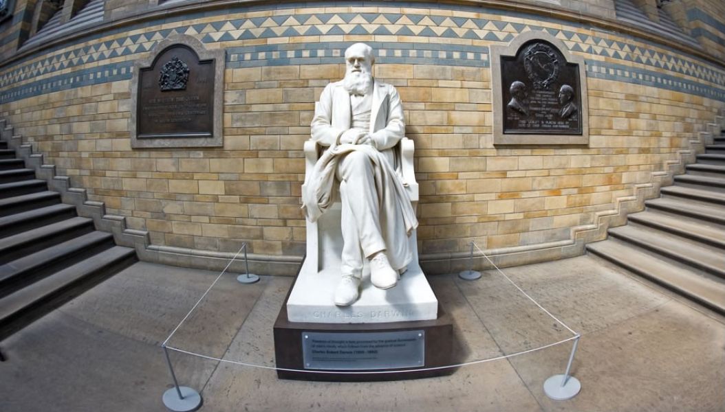 Natural History Museum Charles Darwin.